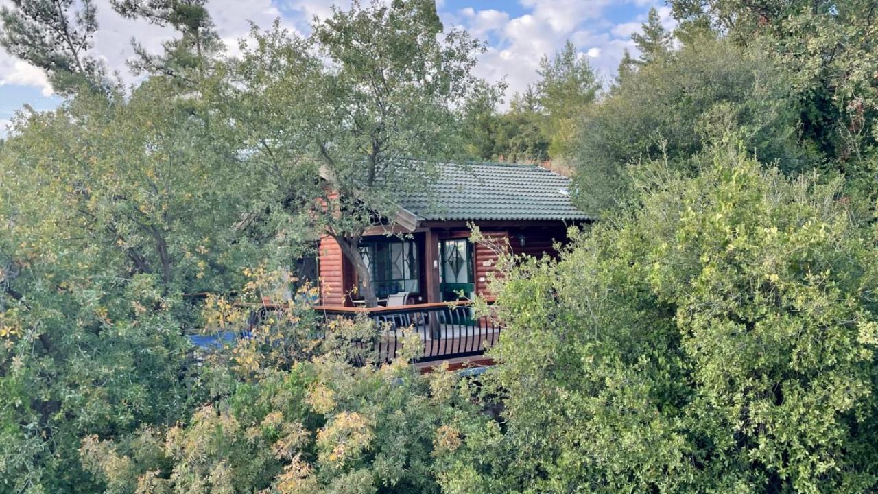 First Light Cabins Amirim Εξωτερικό φωτογραφία
