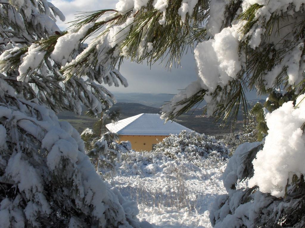 First Light Cabins Amirim Εξωτερικό φωτογραφία