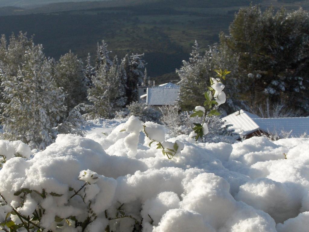 First Light Cabins Amirim Εξωτερικό φωτογραφία