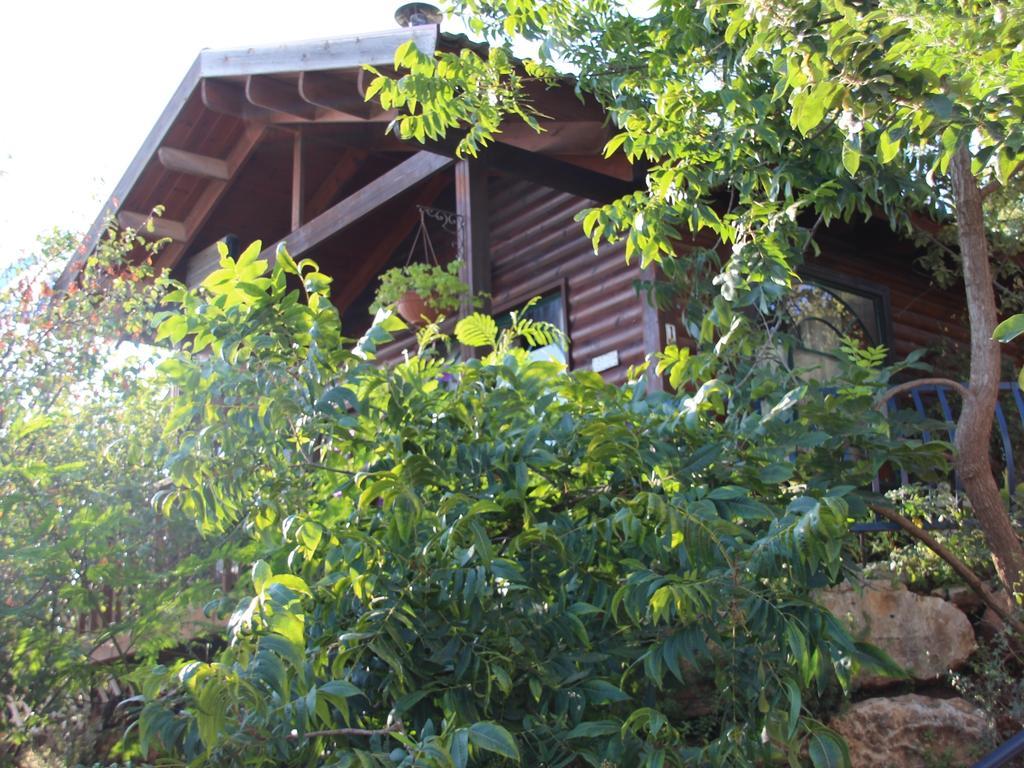 First Light Cabins Amirim Δωμάτιο φωτογραφία