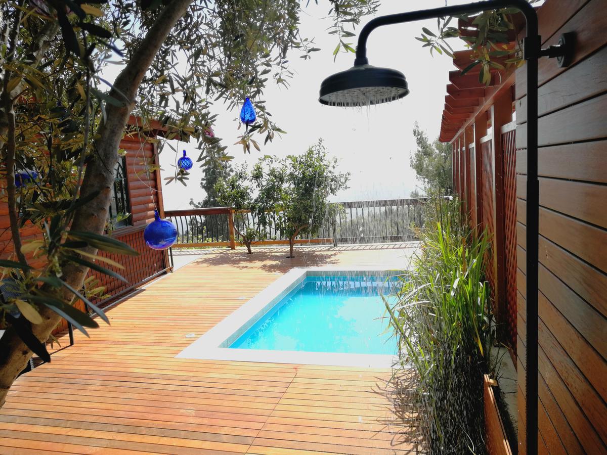 First Light Cabins Amirim Εξωτερικό φωτογραφία