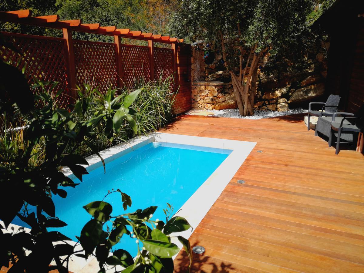 First Light Cabins Amirim Εξωτερικό φωτογραφία